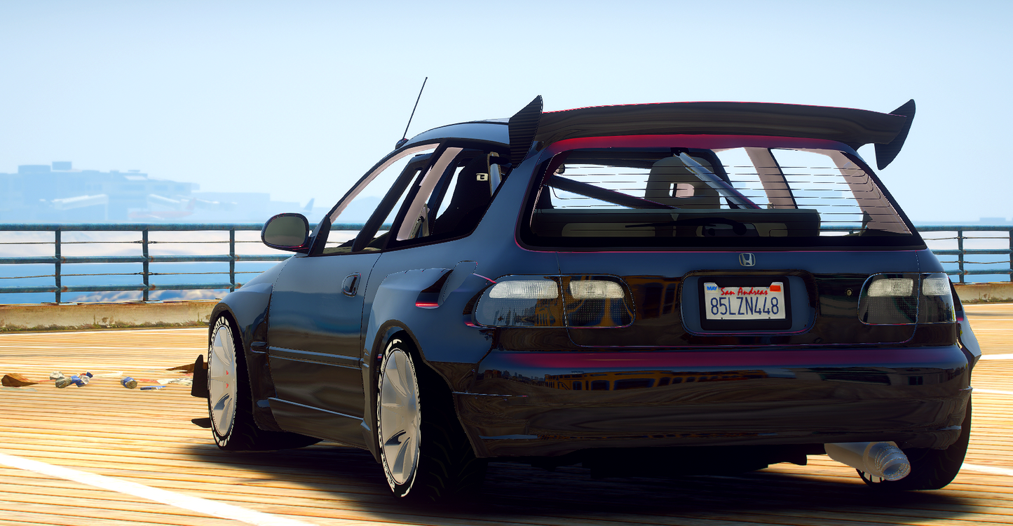 Honda Civic EG6 Pandem