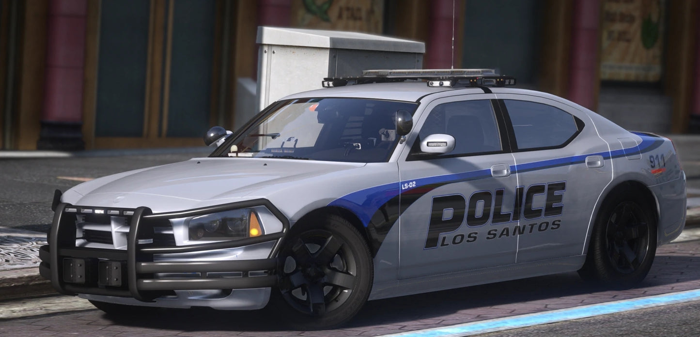 21 Valor LEO Pack: 2009 Dodge Charger