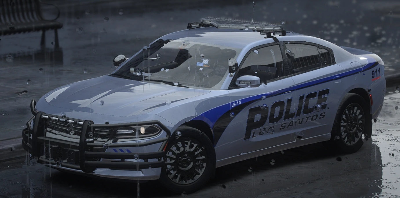 21 Valor LEO Pack: 2018 Dodge Charger