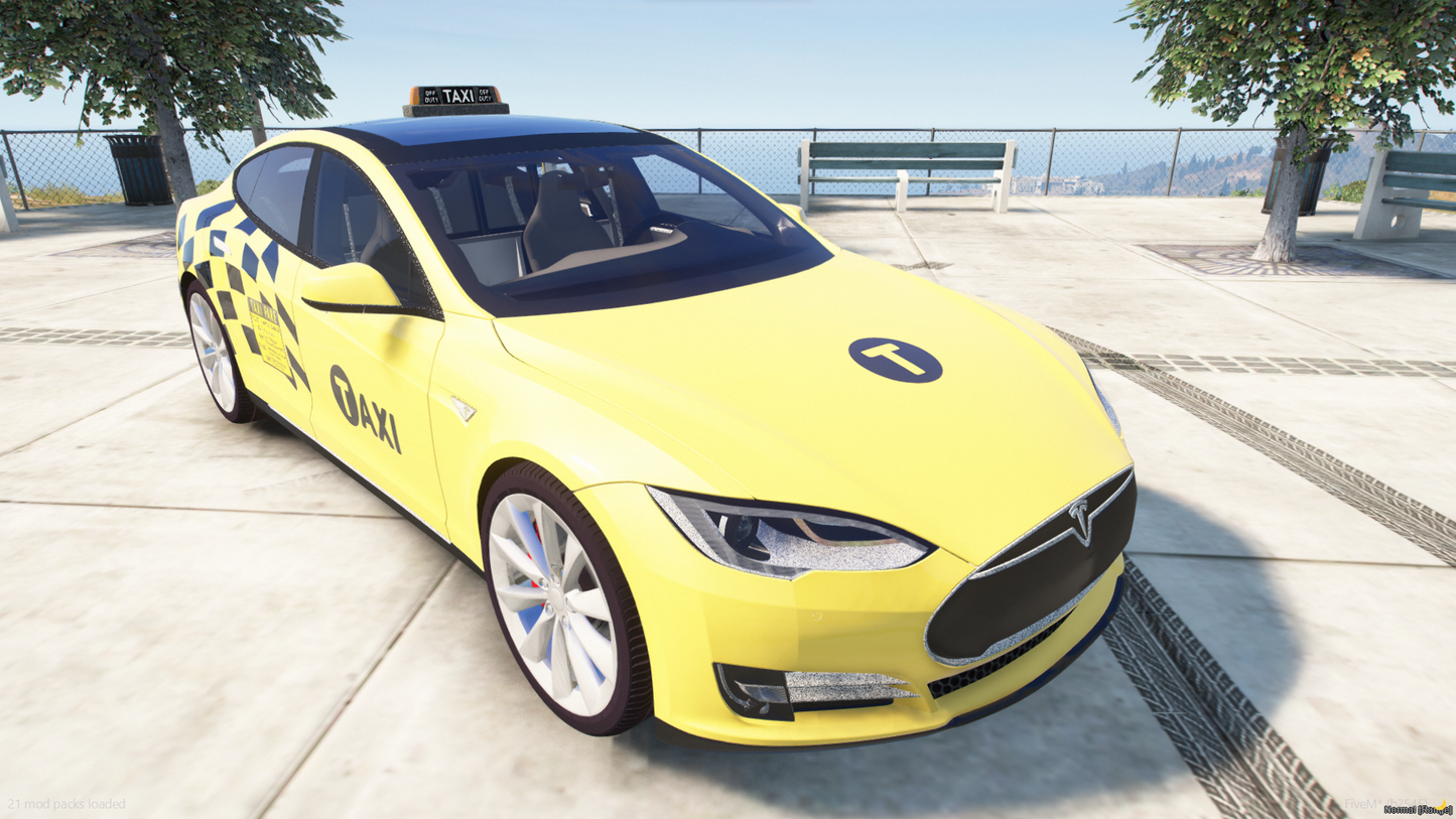 2021 Tesla Taxi Car